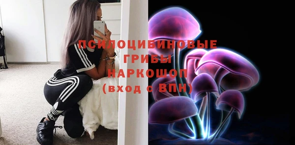 COCAINE Гусь-Хрустальный