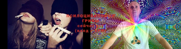 кокаин Гусиноозёрск
