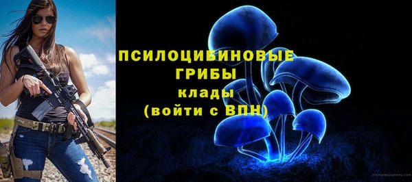 jwh Гусев