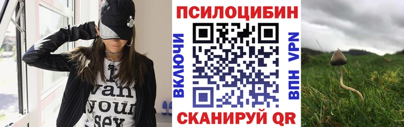 Купить закладки  Пущино  Псилоцибиновые грибы MAGIC MUSHROOMS 