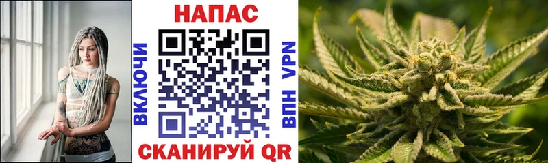Купить где  Пущино  Бошки марихуана семена 